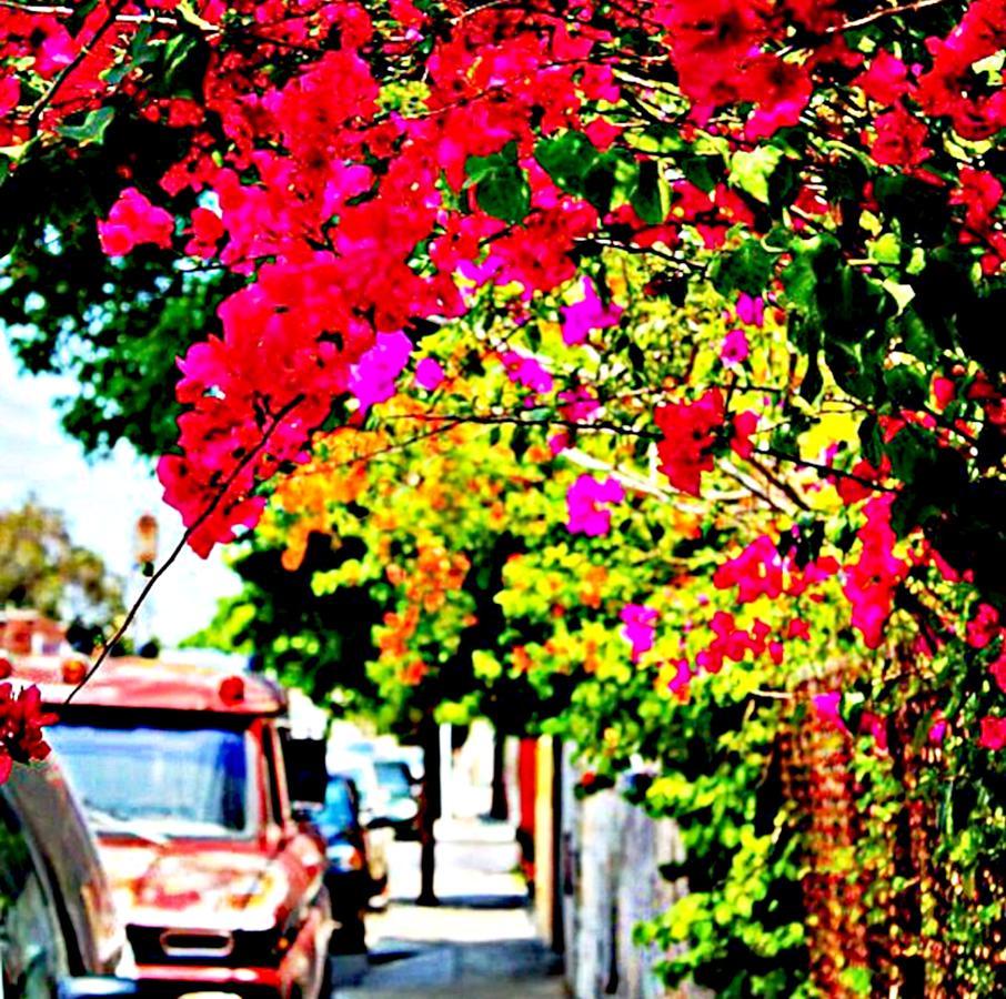 Malaga Beach Holidays リンコン・デ・ラ・ビクトリア エクステリア 写真